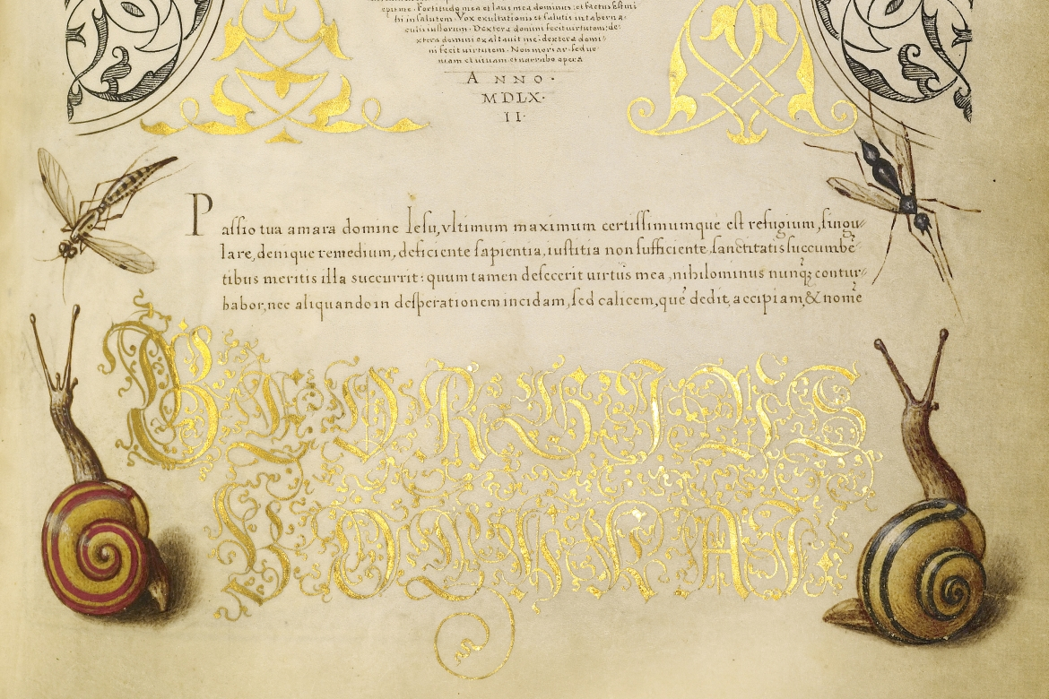 Gulyás Borbála: Bocskay György kalligráfus művészete – könyvbemutató