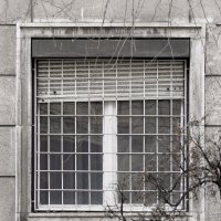 IMG_3031