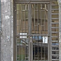 IMG_3100