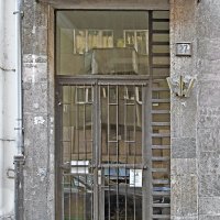 IMG_3101