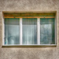 IMG_3998