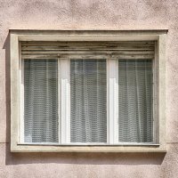 IMG_4007