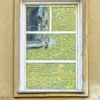 IMG_0900