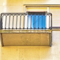 IMG_0910