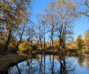 PXL_20251104_135609414